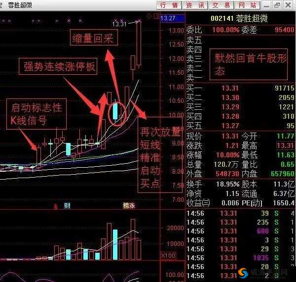 全面解析打牌克生猴子的视频大全：技巧、策略与实战经验分享