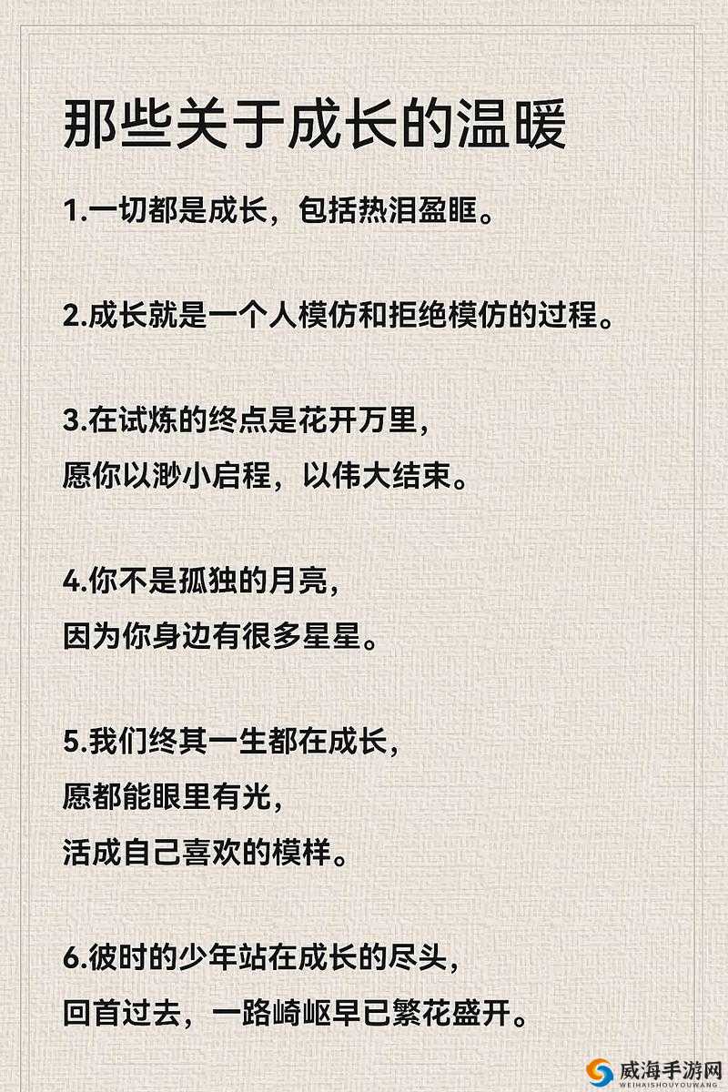 天天躁日日躁 BBBBB 带来的独特体验与感受