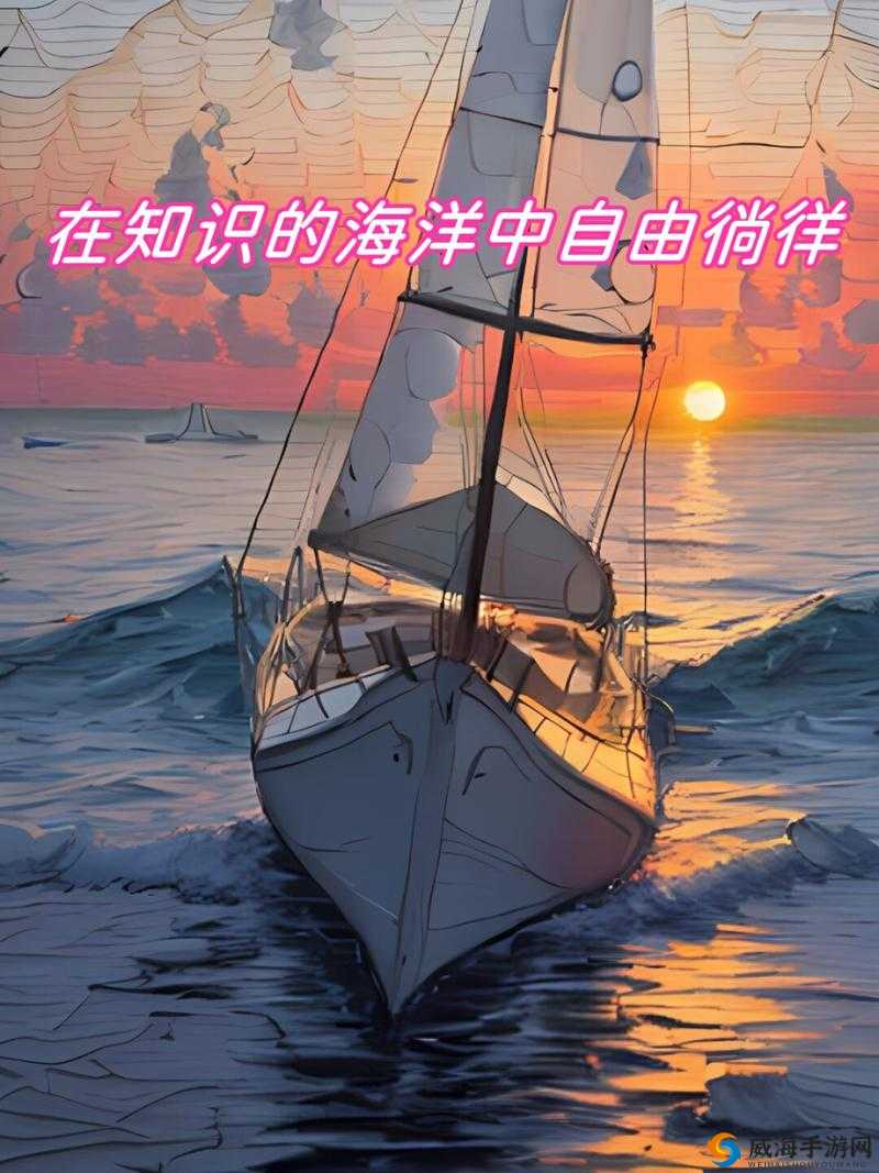 必看哔哩哔哩：不止是视频网站，更是创意与知识的海洋