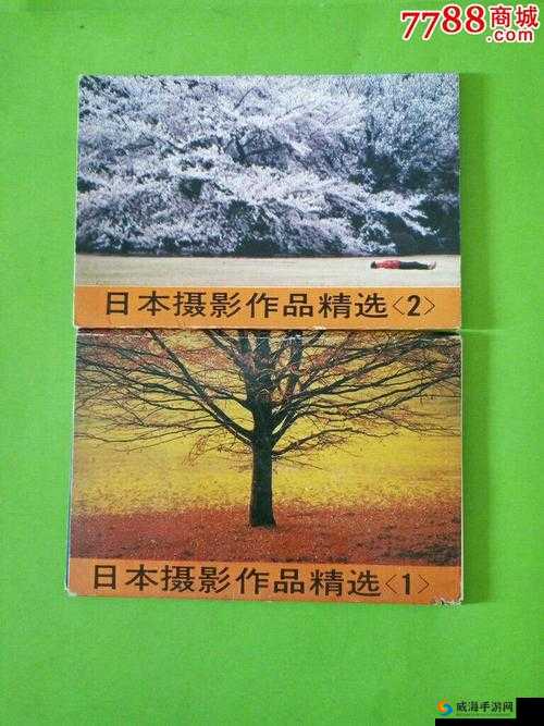 日本人与禽ZOZZO：一部引发争议的作品