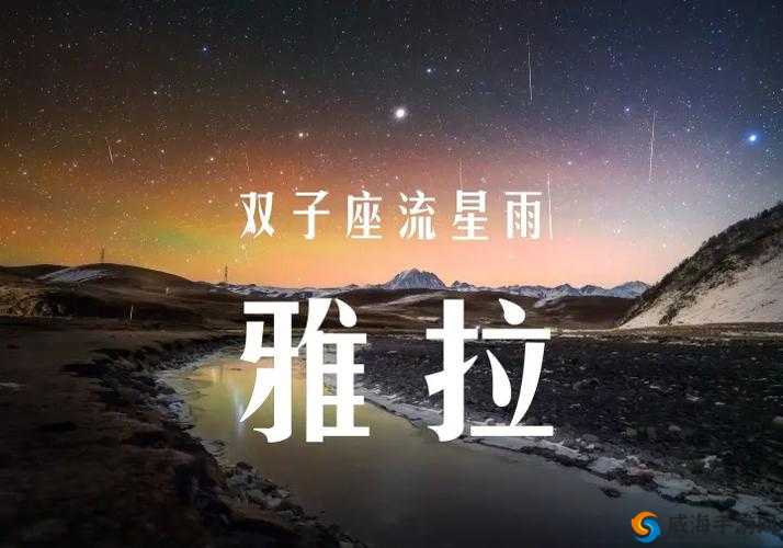 双子座球员演绎进击的足球，球场上的瞬息万变艺术与激情碰撞