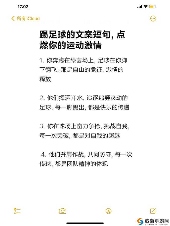 进击的足球，绿茵场上策略与激情交织的顶级体育盛宴