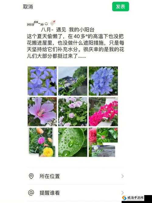 老公亲我的小花园最火的一句来自于野花社区：其背后的情感奥秘