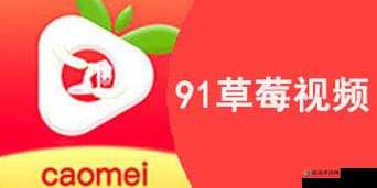 关于 91 短视频安装的详细指引及相关内容介绍