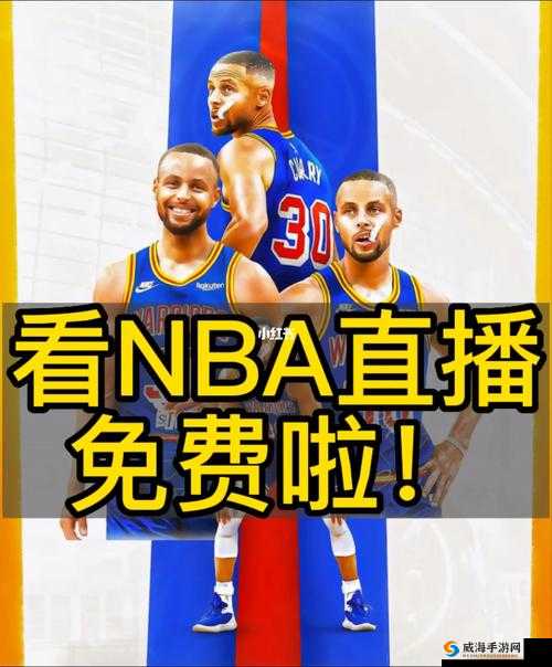 95 免费版网站 nba：畅享体育赛事的免费直播盛宴