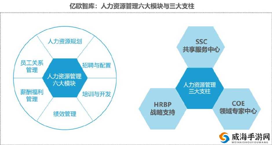 久久人力资源 VS 普通版：两者差异究竟有多大及各自优势何在