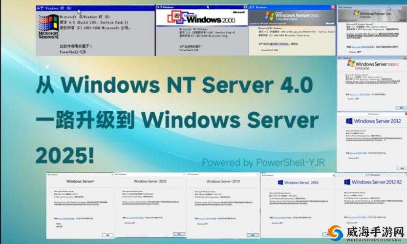 日本 WINDOWSSERVER 技术应用与发展前景分析及案例探讨