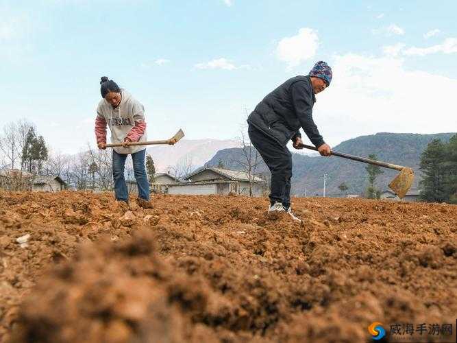 以耕种妈妈肥沃土地，开启别样田园生活