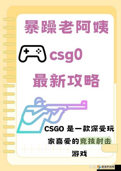 探秘暴躁老阿姨 CSGO：揭秘游戏背后的真实故事