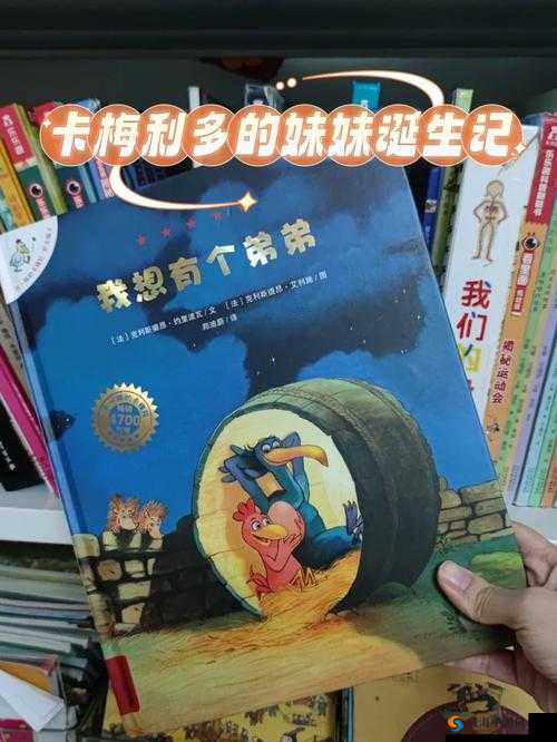 共享玩具：卡门以外的创意与乐趣分享