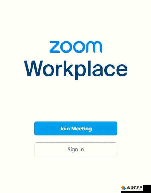 俄罗斯 Zoom 人与 Zoom 哪个好：深入比较二者的优劣之处