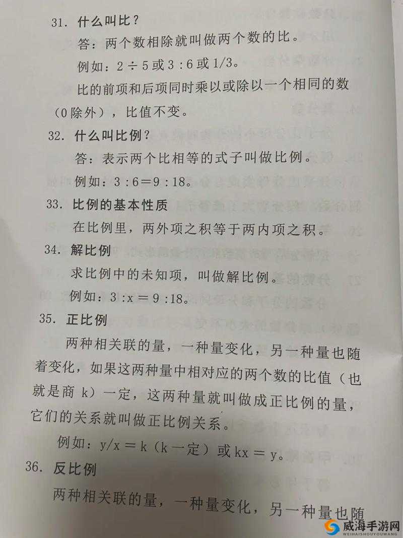 关于比例性的深入探讨与精准分析