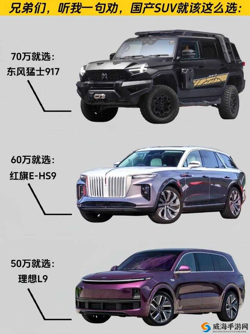 亚洲精品国产 SUV 一区：高品质驾驶之选