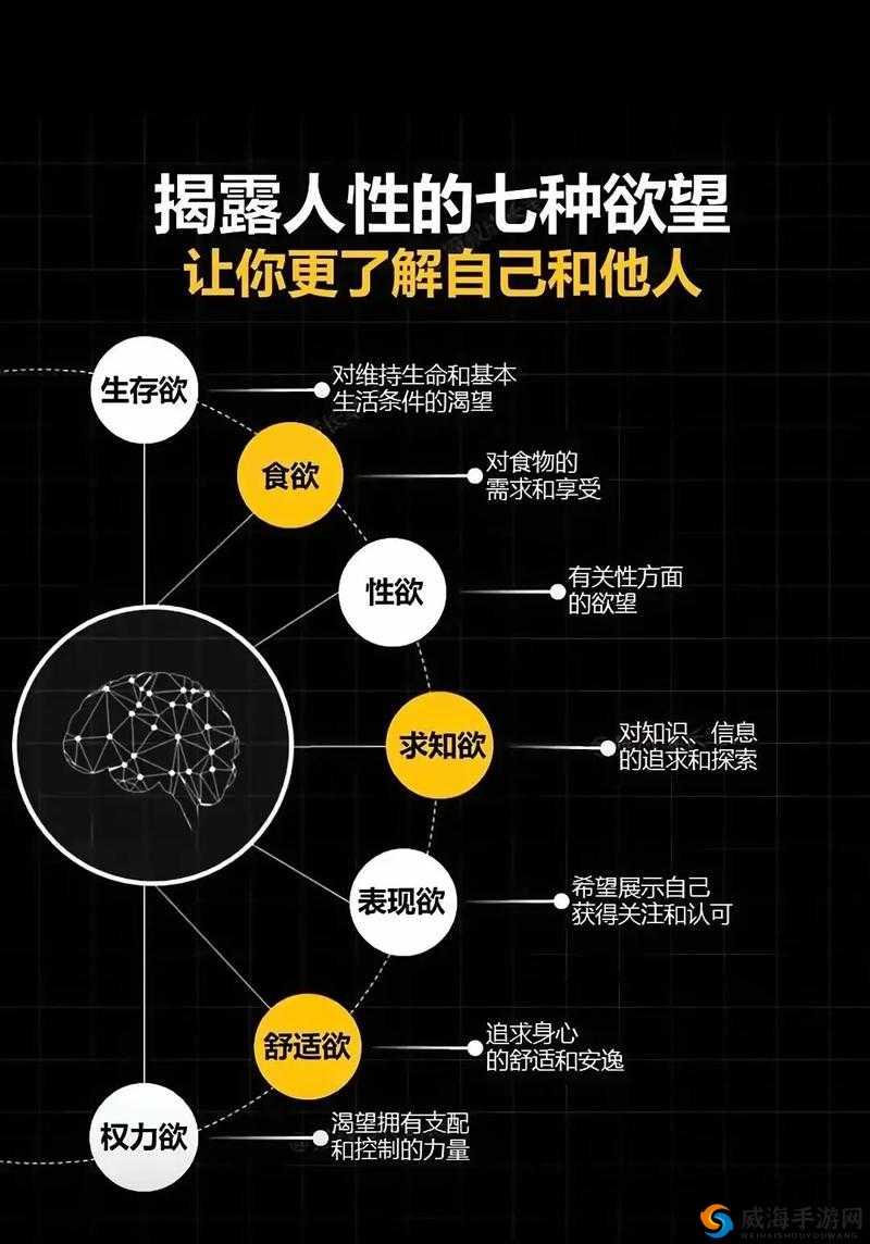 大龟慢慢挺进张娟征的休：探索人性与欲望的边界