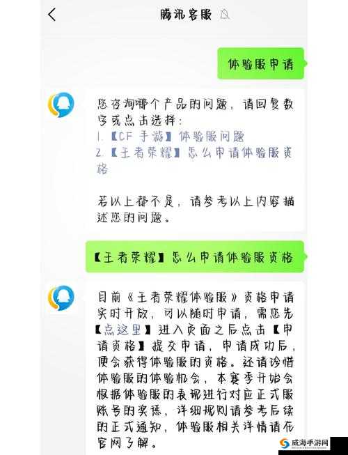 王者荣耀5月10日体验服资格申请活动全面指南与详情一览