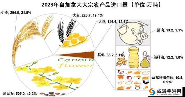 国精产品一品二品三品：不同等级产品特点与优势分析