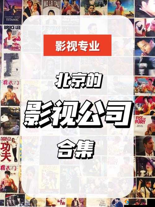 嫩草影视传媒公司：打造优质影视内容的创新力量