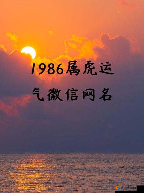 2024 年 4 虎永久地域网名解析：深入解读其背后含义