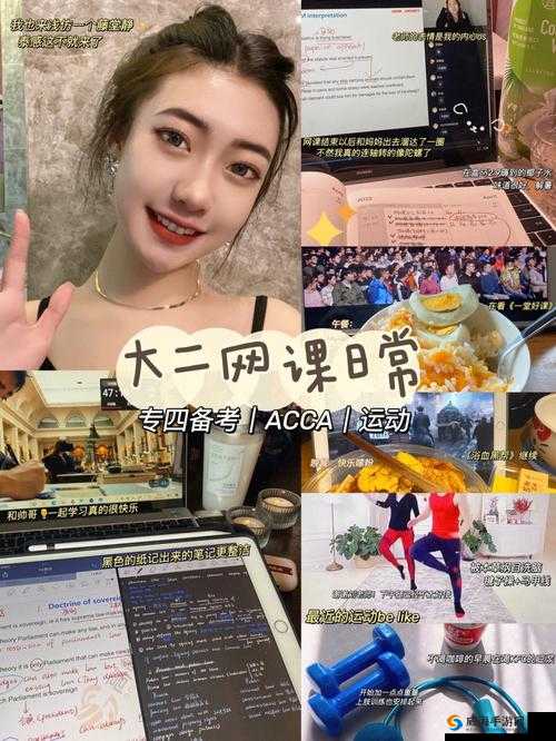 Accca 少女网课视频：开启财务知识的精彩之旅