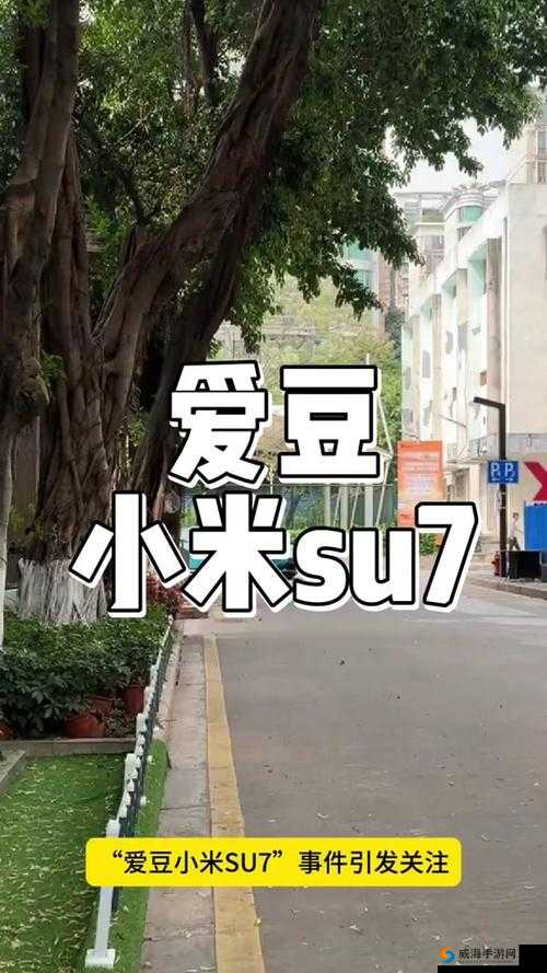 爱豆传媒小米 su7 在线观看：探寻娱乐背后的故事