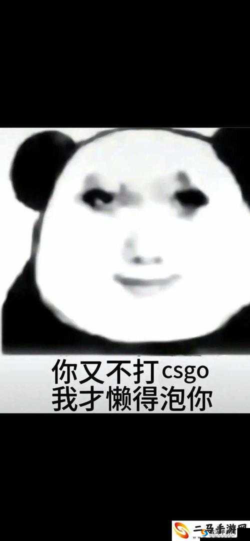 暴躁老姐的 csgo 心得分享：如何在游戏中称霸战场