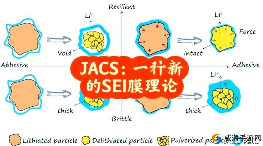 一亲二摸三叉：探寻亲密接触的奇妙奥秘