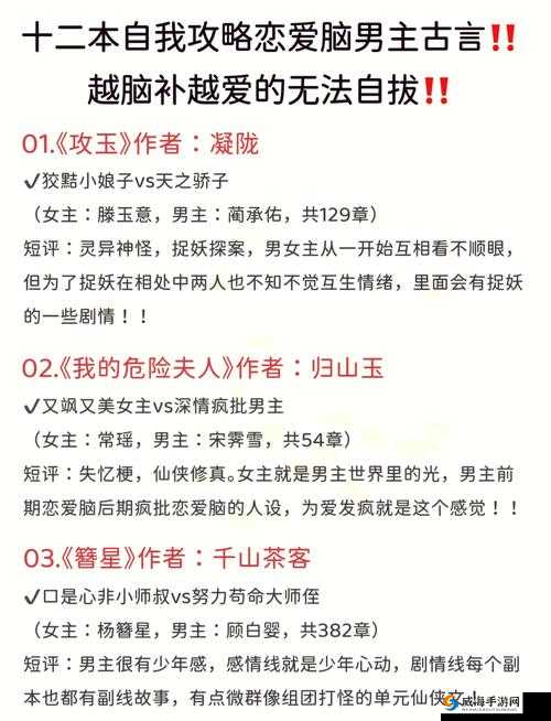 发了狠的往里撞古言解析：探寻其中的深刻内涵与情感纠葛