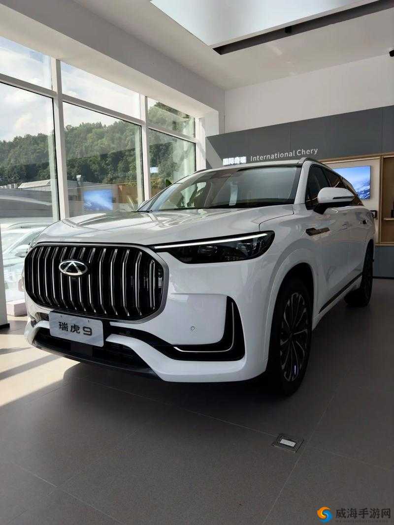 国产 SUV 精二区九色：一款独具特色的国产 SUV 车型介绍