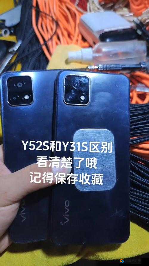 探寻成色好的 y31s 标准版官网究竟在哪里