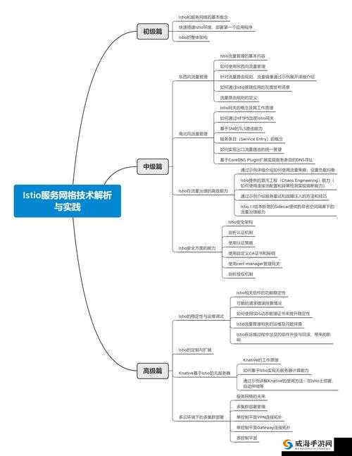 videocodecwmvideodecoder 技术原理与应用解析及发展前景探讨