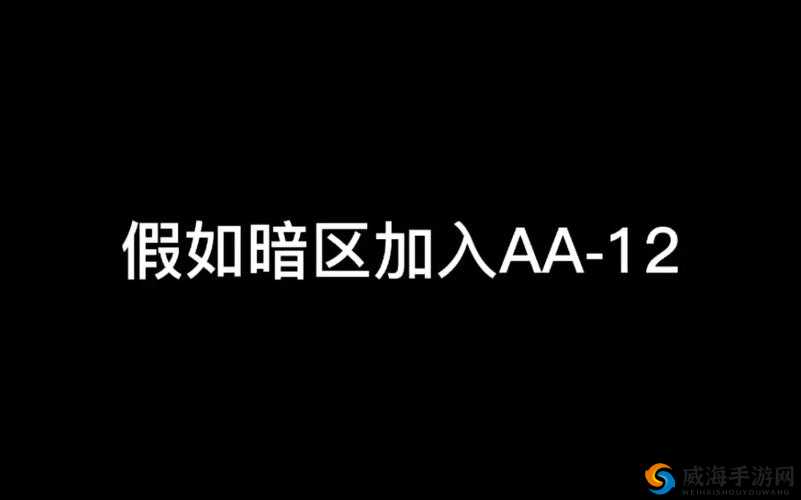 AA 区和 VA 区之间是黑边吗：关于这一问题的深入探讨与研究