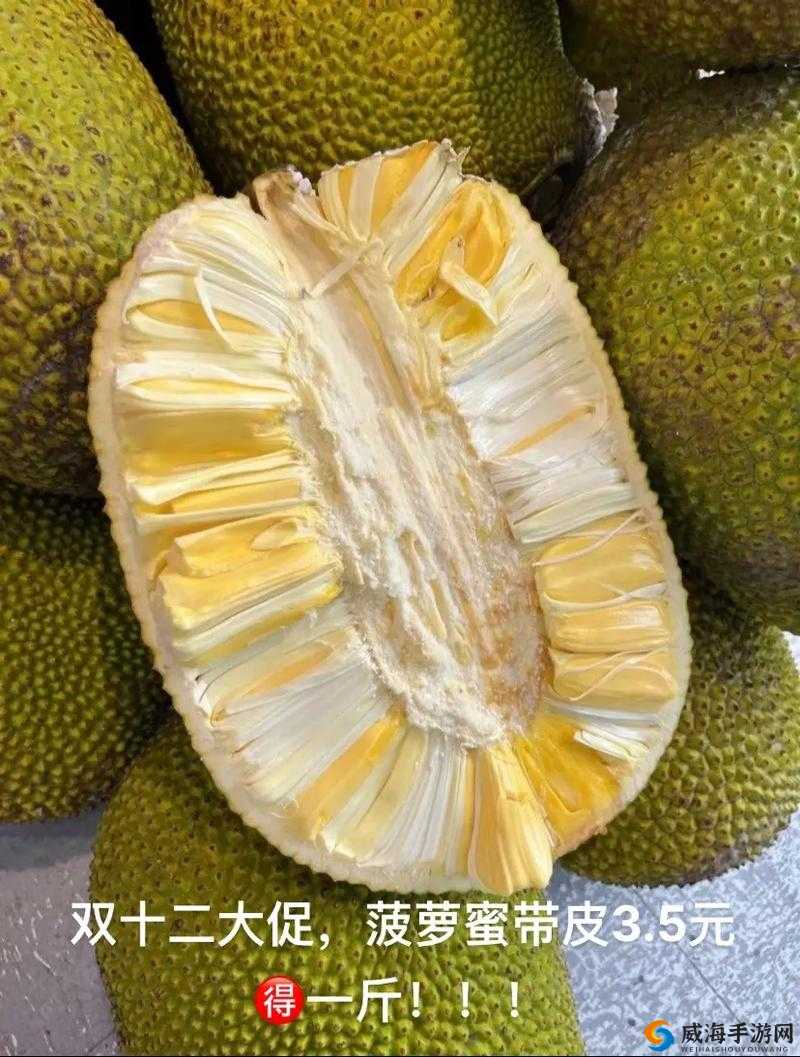 亚精产品一三三三菠萝蜜：香甜可口的热带水果之选