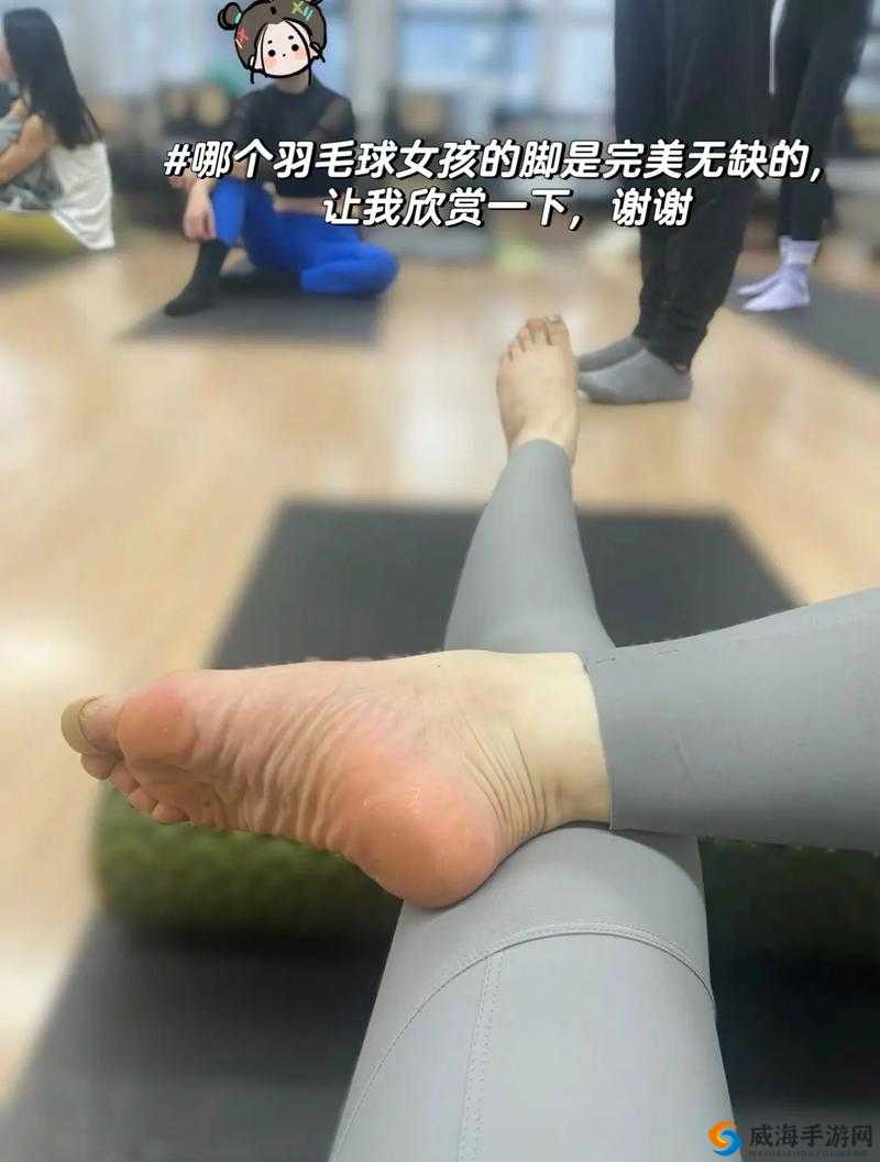 羽毛划过脚掌心所引发的奇妙体验与思考