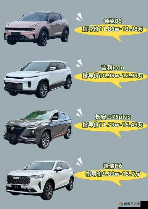 国产 SUV 精二区 69：性能与品质的完美结合