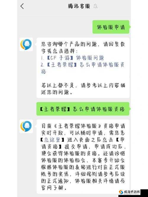 王者荣耀体验服全面指南，抢号攻略、申请条件及流程详解