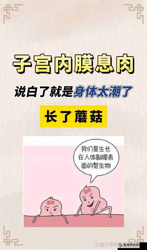 大蘑菇进入子宫的 10 大原因剖析及相关探讨