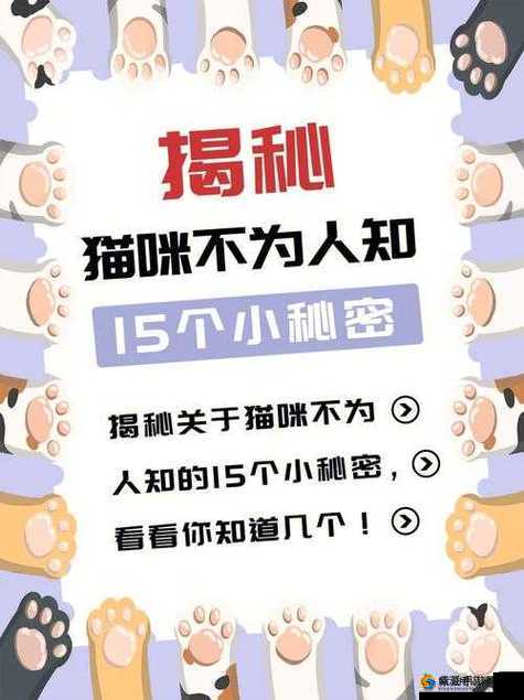 暗黑爆料官方入口免费：揭示不为人知的秘密真相