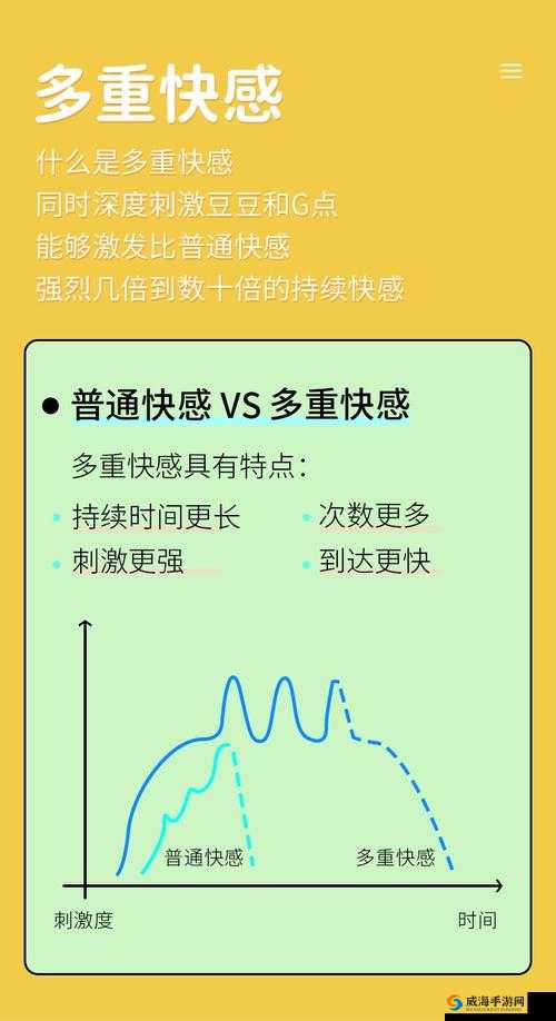 最新精品金先生 av 无码：成人世界的激情与探索