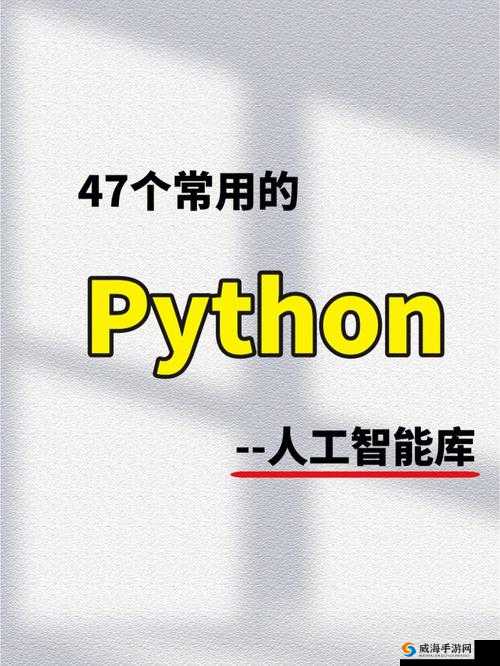 python1819：如何在人工智能领域取得成功