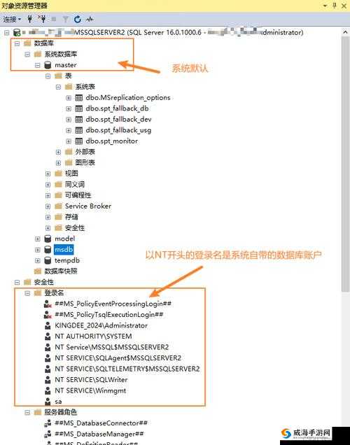 如何选择适合的日本 Windows Server：实用技巧与注意事项