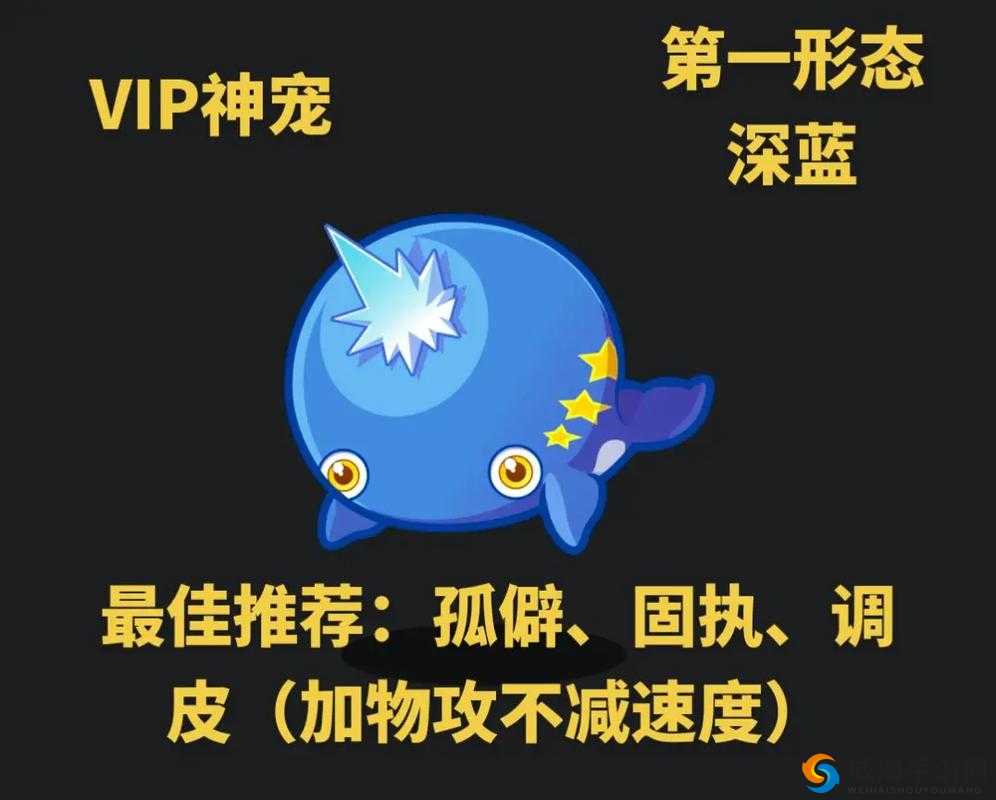 VIP神殿都有什么好宠物：探索神秘宠物世界的宝藏