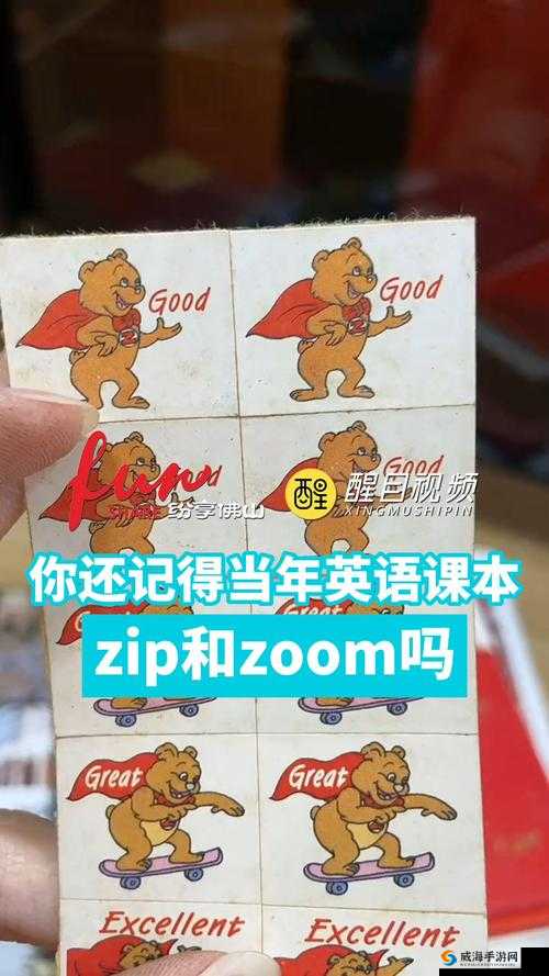 Zoom 与动物 Zoom 合作项目：开启奇妙的跨物种合作之旅