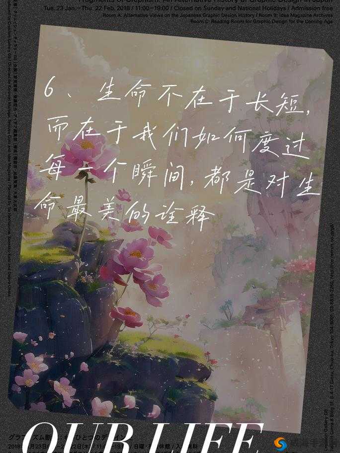 老公生日之际，3Q 花落归途：探寻生命的意义