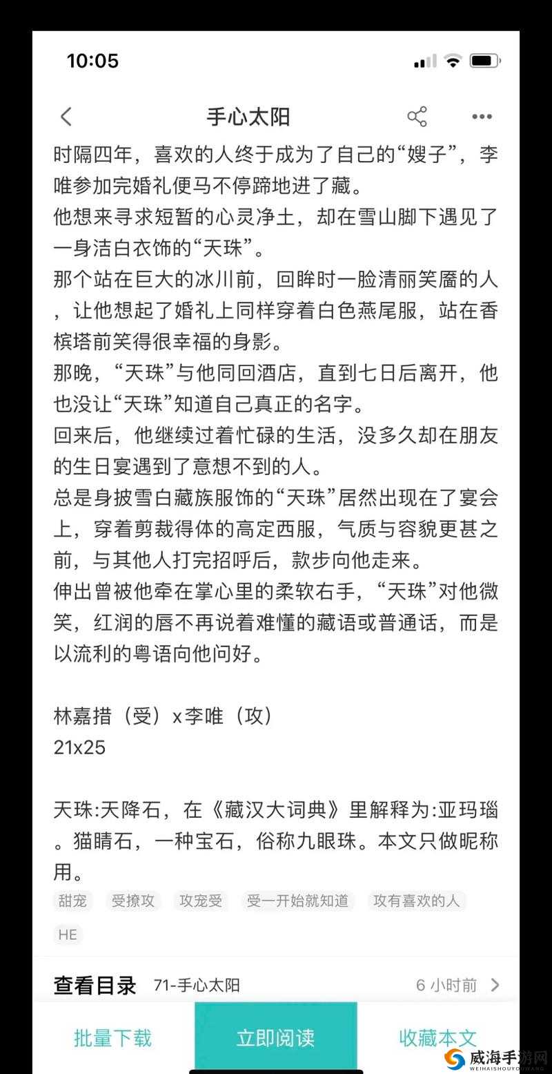 再试一次by林光曦主要讲了什么：深度剖析与核心要义解读