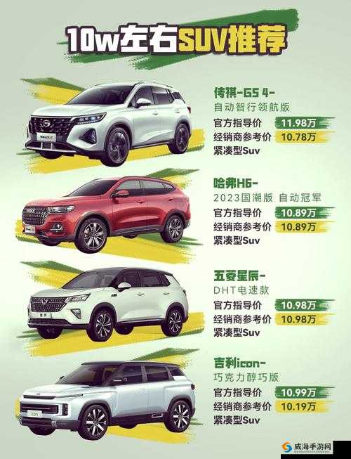 国产 SUV 精品一区二区 69 力推：高品质座驾，畅享驾驶乐趣