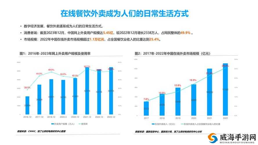 肉食家庭食取报告 1 免费：探索健康饮食的新视角