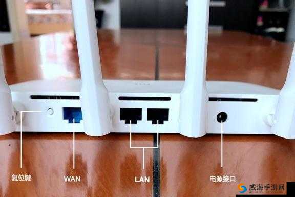 插插网麻烦观看：这是一个需要注意的网站访问问题