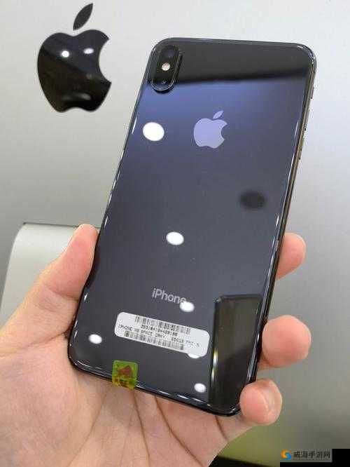 战术指导-探索欧美iPhonexsMax 视频之深度剖析与技巧分享