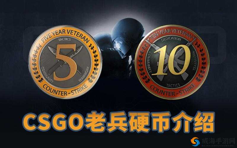 CSGO 十周年生日硬币怎么获得：详细获取攻略指南