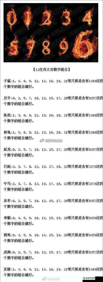 神奇的数字组合 x9x9x92024 背后的奥秘